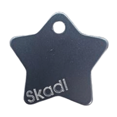 Engraved pet tag withh G-eye camera 